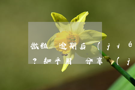 微粒貸逾期后結(jié)清還能再借嗎？知乎用戶分享經(jīng)驗(yàn)與建議